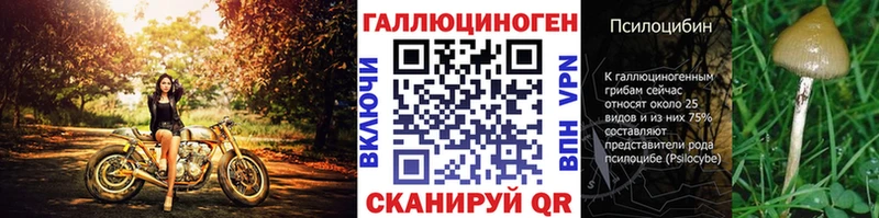 купить наркоту  Шатура  Галлюциногенные грибы ЛСД 
