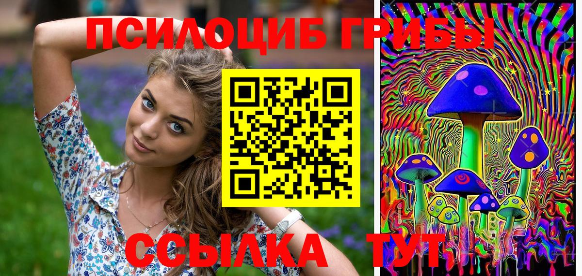 Галлюциногенные грибы ЛСД  Вход с VPN  где купить наркоту  Шатура 